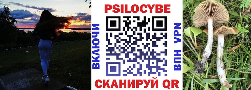 Псилоцибиновые грибы GOLDEN TEACHER  наркота  мега ссылки  Саяногорск 