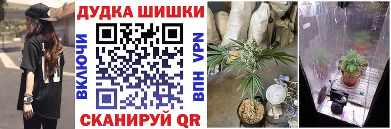 Бошки Шишки планчик  Саяногорск 